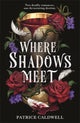 Book cover of: Where Shadows Meet