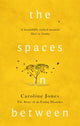 Book cover of: Spaces In Between. By: Caroline Jones
