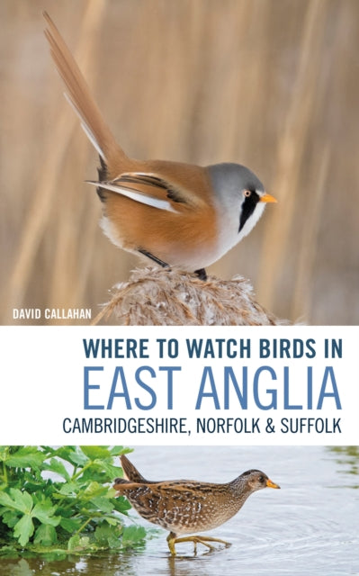Book cover of: Where to Watch Birds in East Anglia. By: David Callahan