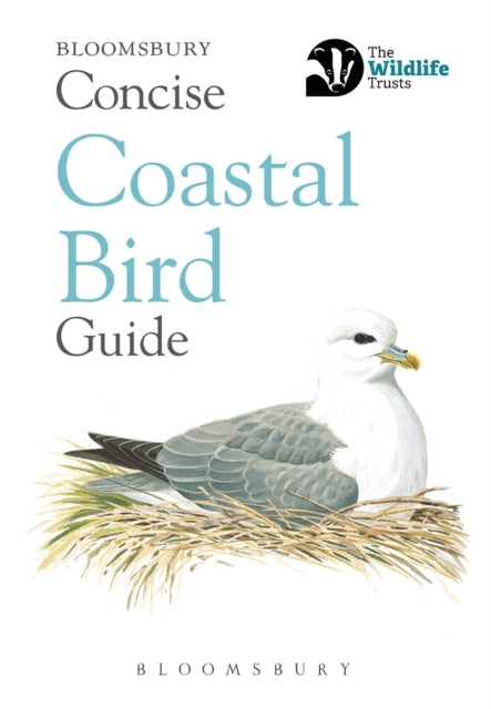 Concise Coastal Bird Guide 9781472963819 Bloomsbury