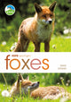 Book cover of: RSPB Spotlight: Foxes. By: Mike Unwin