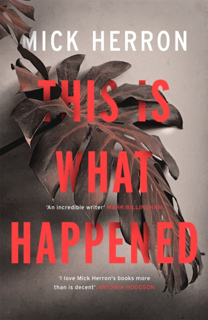Book cover of: This is What Happened