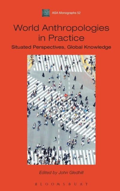 Book cover of: World Anthropologies in Practice