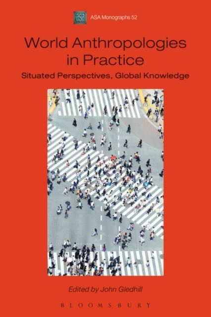 World Anthropologies in Practice