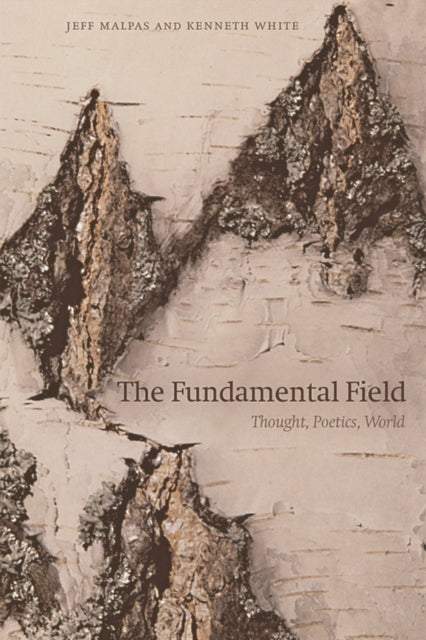 The Fundamental Field