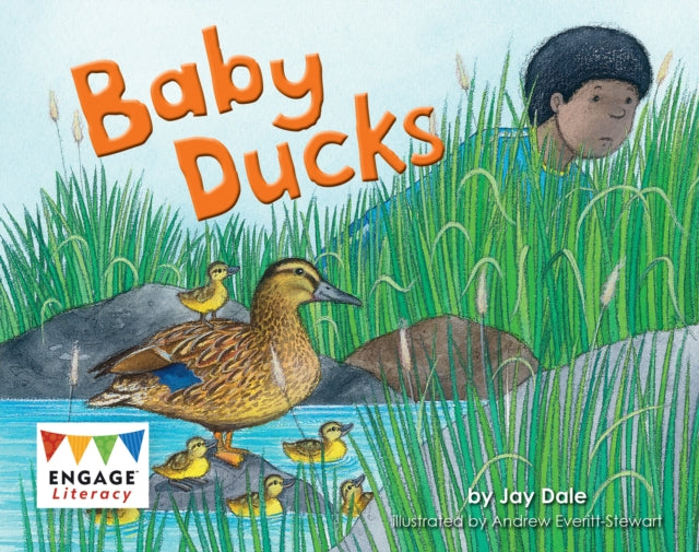 Book cover of: Baby Ducks. By: Jay Dale