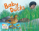 Book cover of: Baby Ducks. By: Jay Dale