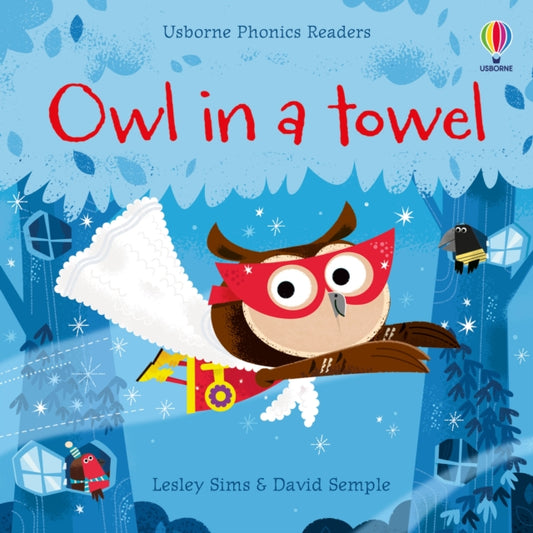 Owl in a Towel 9781474971515 Lesley Sims