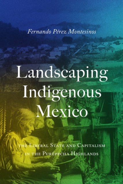 Book cover of: Landscaping Indigenous Mexico. By: Fernando Pérez-Montesinos