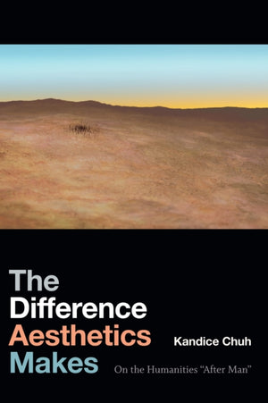 Difference Aesthetics Makes