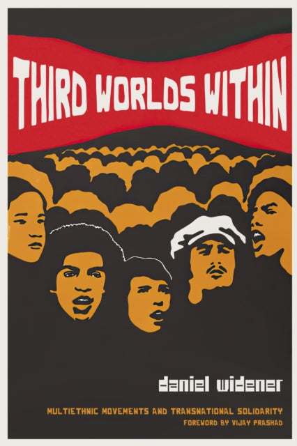 Book cover of: Third Worlds Within. By: Daniel Widener