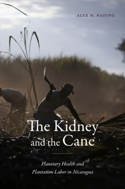 Book cover of: Kidney and the Cane. By: Alex M. Nading