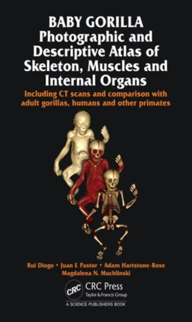 Book cover of: Baby Gorilla. By: Rui Diogo