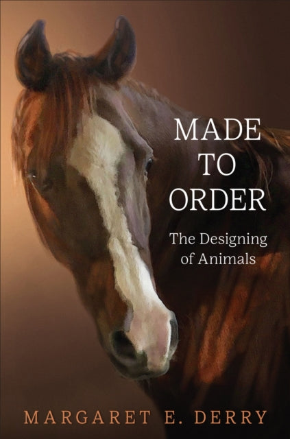 Book cover of: Made to Order. By: Margaret E. Derry