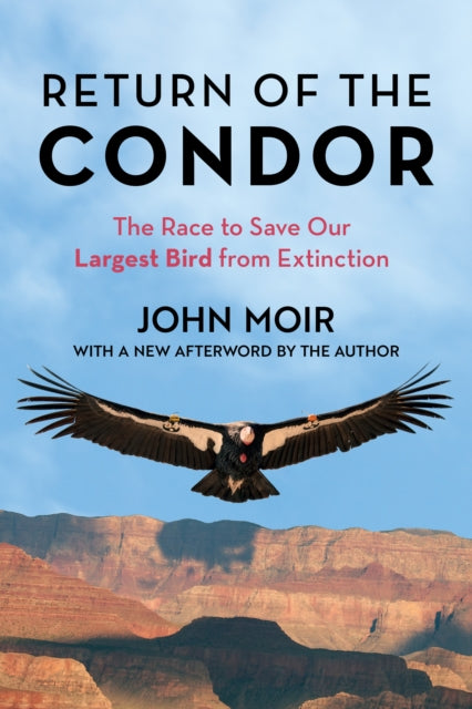 Book cover of: Return of the Condor. By: John Moir