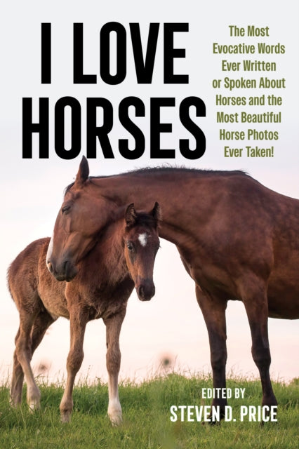 Book cover of: I Love Horses