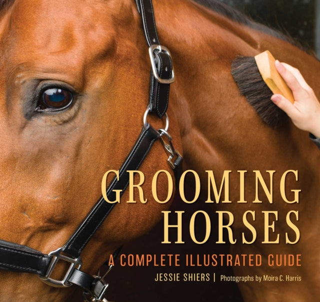 Book cover of: Grooming Horses
