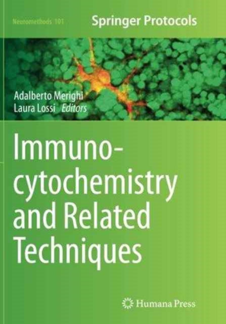 Book cover of: Immunocytochemistry and Related Techniques. By: Adalberto Merighi