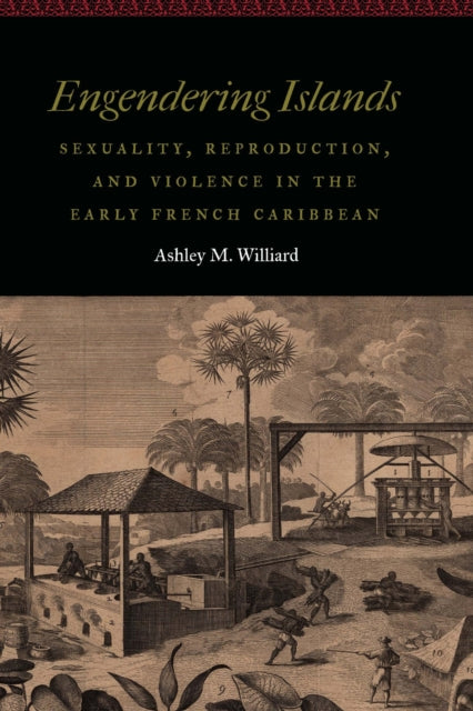 Book cover of: Engendering Islands. By: Ashley M. Williard