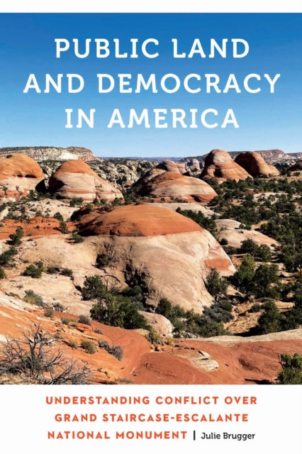 Book cover of: Public Land and Democracy in America. By: Julie Brugger