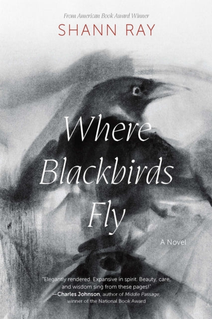 Book cover of: Where Blackbirds Fly