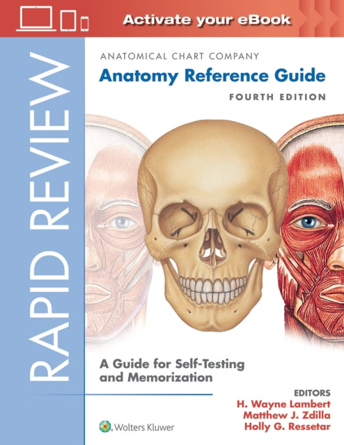 Book cover of: Rapid Review: Anatomy Reference Guide. By: H. Wayne Lambert PhD