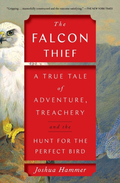 Book cover of: Falcon Thief. By: Joshua Hammer