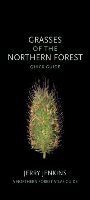 Book cover of: Grasses of the Northern Forest. By: Jerry Jenkins