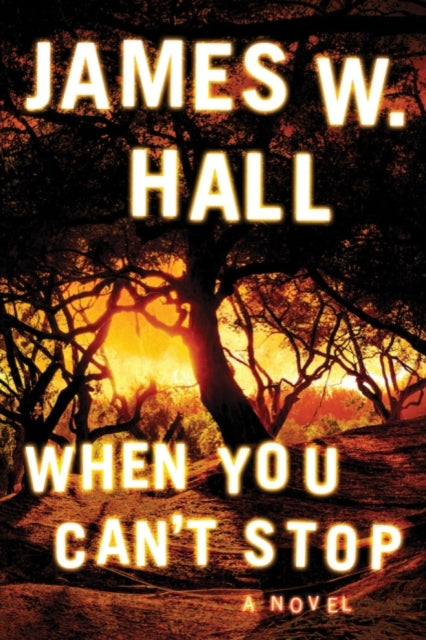 Book cover of: When You Can't Stop. By: James W. Hall