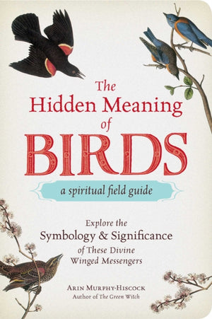 Hidden Meaning of Birds--A Spiritual Field Guide