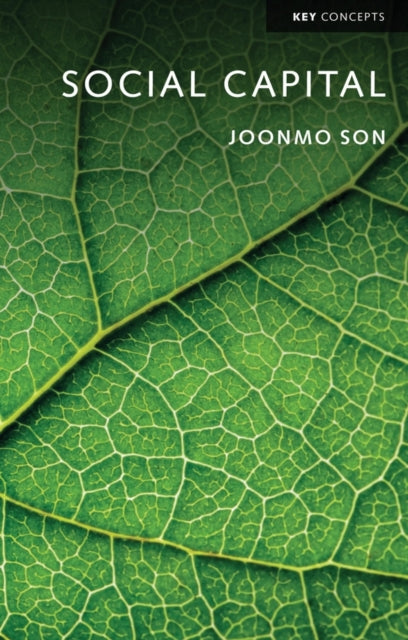 Book cover of: Social Capital. By: Joonmo Son
