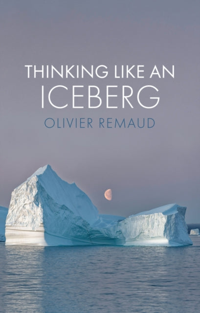 Book cover of: Thinking Like an Iceberg. By: Olivier Remaud