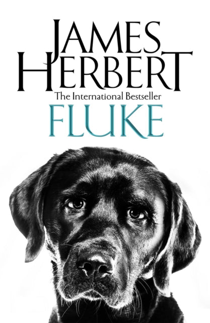 Book cover of: Fluke. By: James Herbert