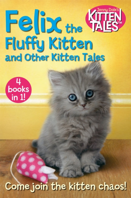 Book cover of: Felix the Fluffy Kitten and Other Kitten Tales. By: Jenny Dale