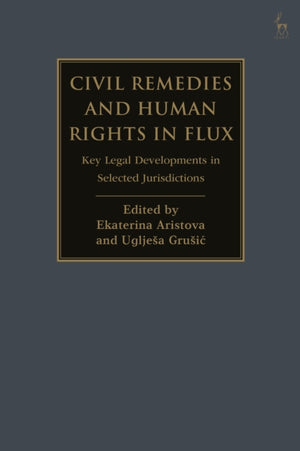 Civil Remedies and Human Rights in Flux