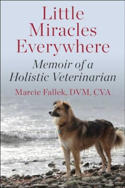 Book cover of: Little Miracles Everywhere. By: Marcie Fallek