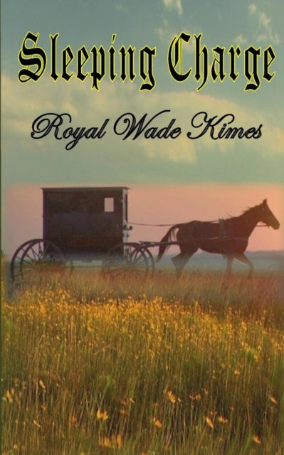Book cover of: Sleeping Charge. By: Royal Wade Kimes