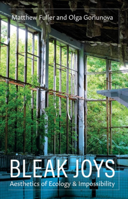 Book cover of: Bleak Joys. By: Matthew Fuller