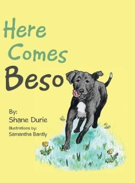 Book cover of: Here Comes Beso