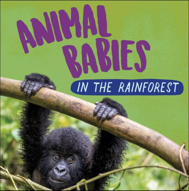 Book cover of: Animal Babies: In the Rainforest. By: Sarah Ridley