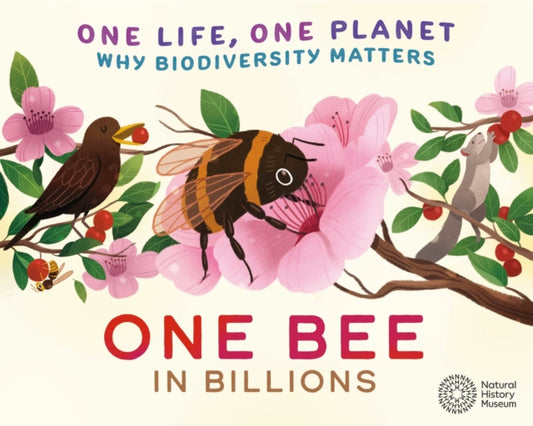Book cover of: One Life, One Planet: One Bee in Billions. By: Sarah Ridley