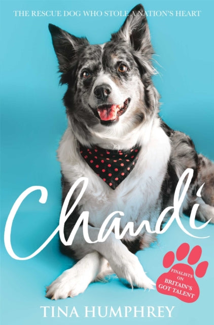 Book cover of: Chandi. By: Tina Humphrey