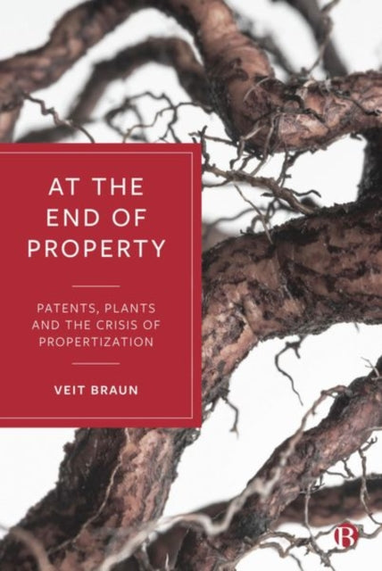 Book cover of: At the End of Property. By: Veit Braun