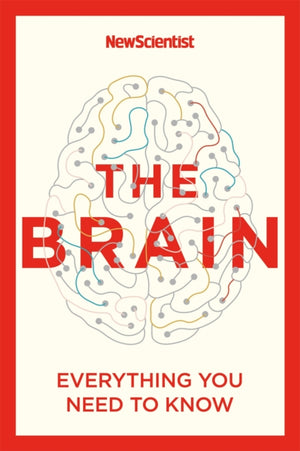 Brain