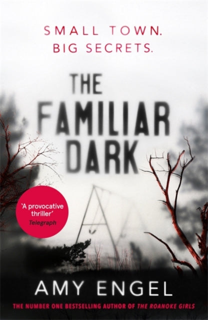 Book cover of: Familiar Dark. By: Amy Engel