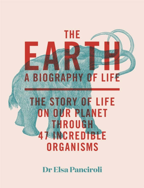 Book cover of: The Earth. By: Elsa Panciroli