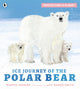 Protecting the Planet: Ice Journey of the Polar Bear 9781529517200 Martin Jenkins