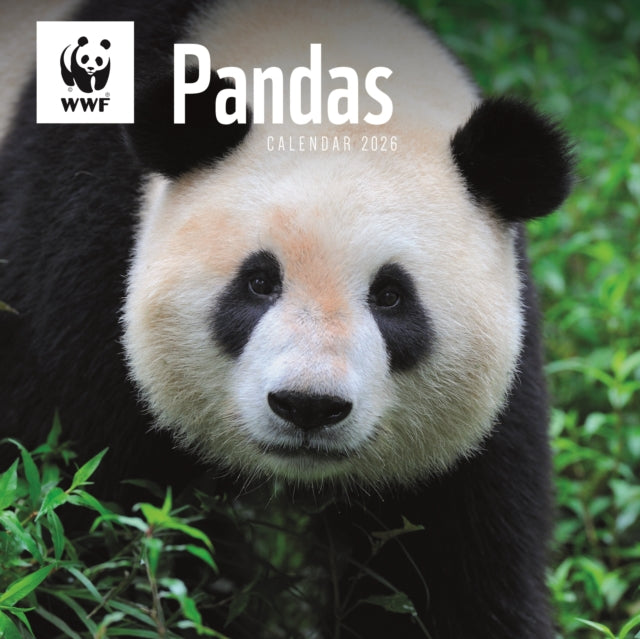 Book cover of: Wwf Pandas Square Wall Calendar 2026