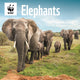 Book cover of: Wwf Elephants Square Wall Calendar 2026
