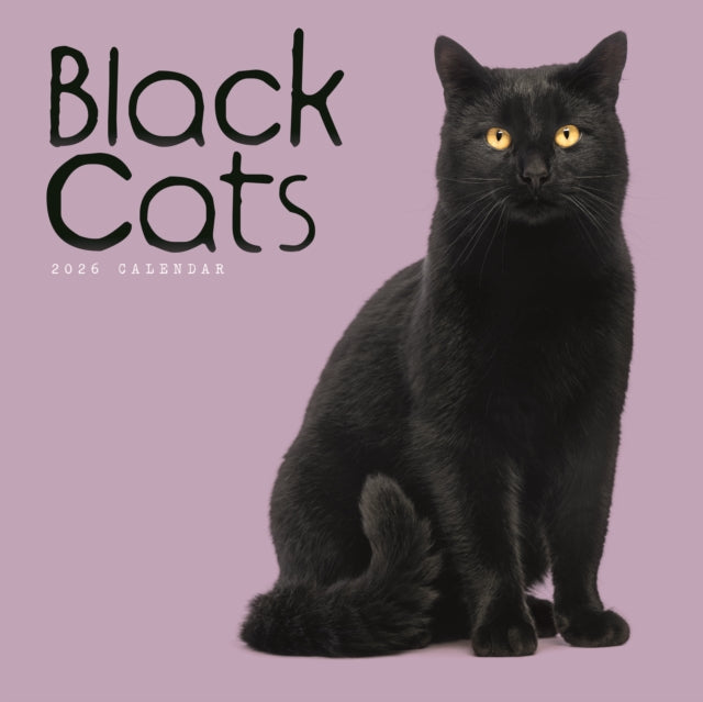 Book cover of: Black Cats Square Wall Calendar 2026